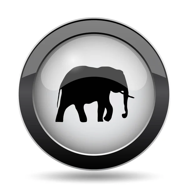 Icona elefante — Foto Stock