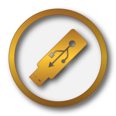 USB flash sürücü simgesi. Beyaz arka plan üzerinde Internet düğmesi