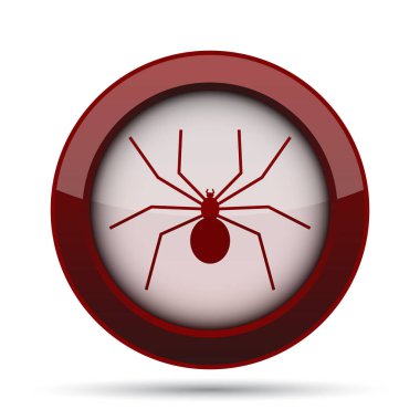 örümcek simgesi