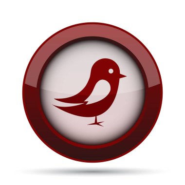 Kuş simgesi. Beyaz arka plan üzerinde Internet düğmesi.