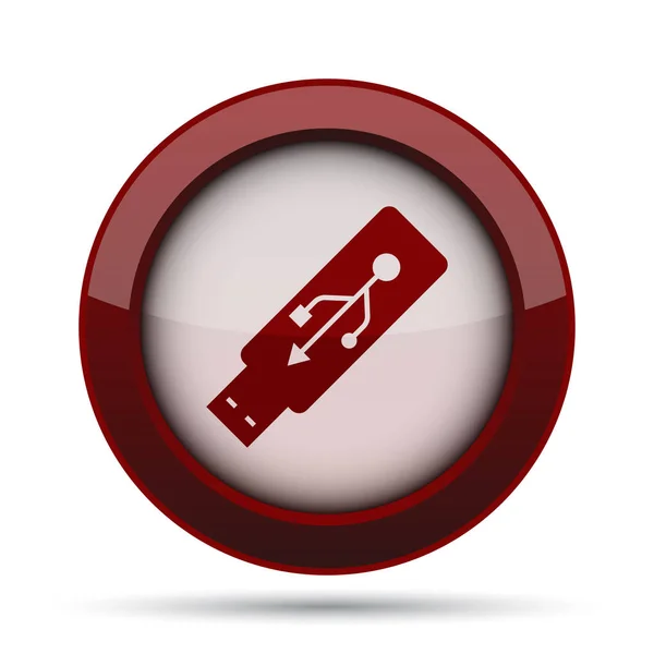 Usb flash drive icon. Internet button on white background.