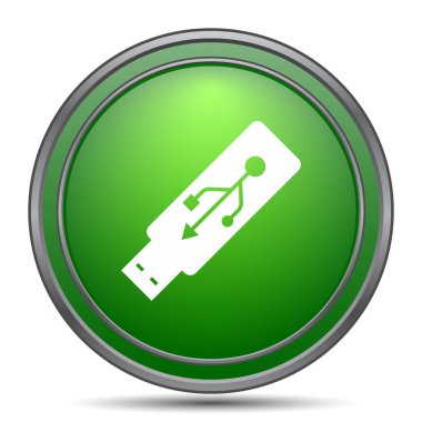 USB flash sürücü simgesi. Beyaz arka plan üzerinde Internet düğmesi