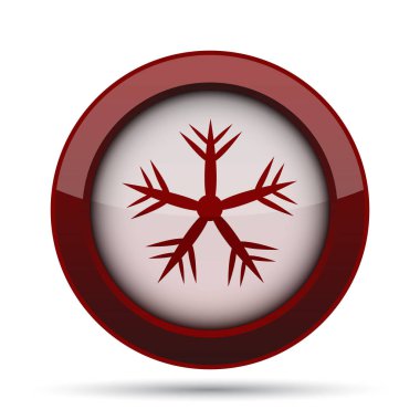 Kar tanesi simgesi. Beyaz arka plan üzerinde Internet düğmesi.