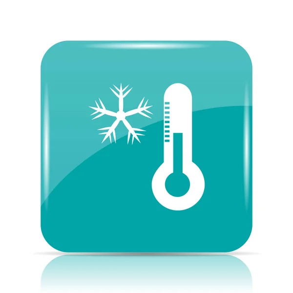 Sneeuwvlok Met Thermometer Pictogram Internet Knop Witte Achtergrond — Stockfoto
