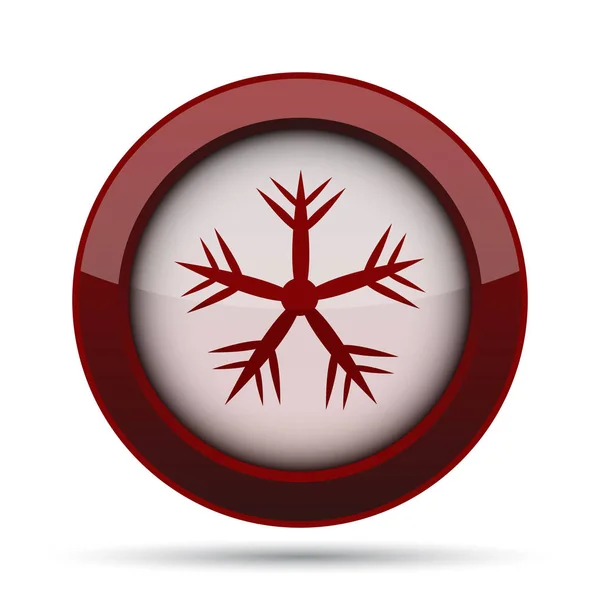 Snowflake Icon Internet Button White Background — Stock Photo, Image