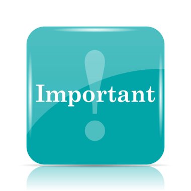 Önemli simgesi. Beyaz arka plan üzerinde Internet düğmesi