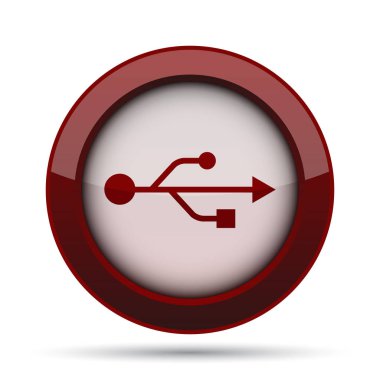 USB simge. Beyaz arka plan üzerinde Internet düğmesi.
