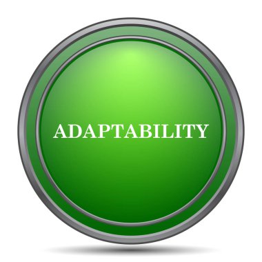 Adaptasyon simgesi. Beyaz arka plan üzerinde Internet düğmesi