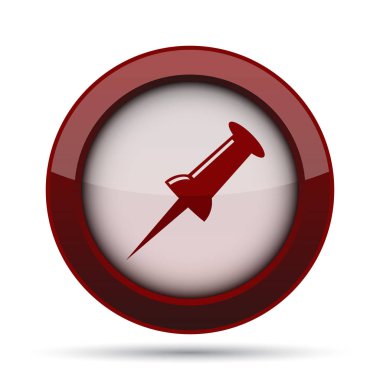 PIN simgesi. Beyaz arka plan üzerinde Internet düğmesi.