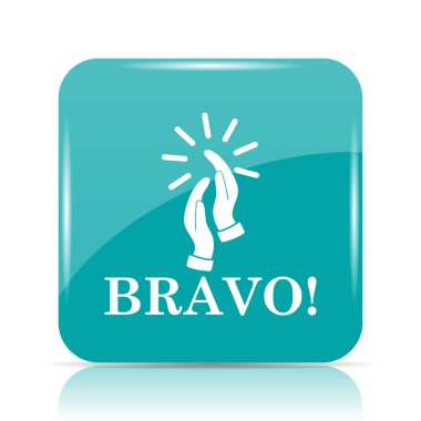 Simge bravo. Beyaz arka plan üzerinde Internet düğmesi