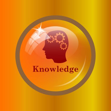 Bilgi simgesi. Renkli arka plan üzerinde Internet düğmesi.