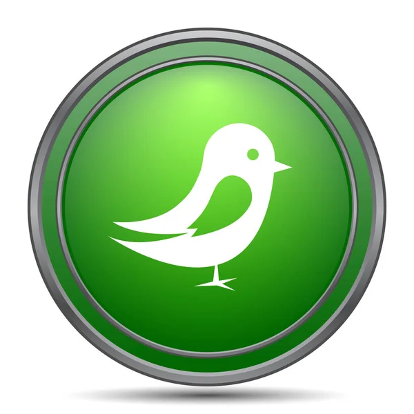 Bird icon — Stock Photo, Image