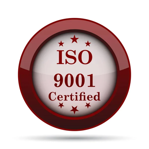 Ikona Iso9001 Przycisk Internet Białym Tle — Zdjęcie stockowe