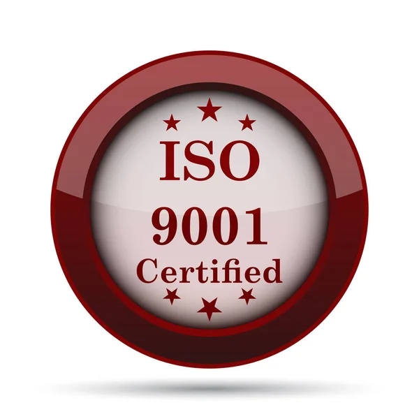 Iso9001 Icon Internet Button White Background — Stock Photo, Image