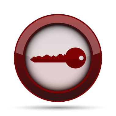 Anahtar simgesi. Beyaz arka plan üzerinde Internet düğmesi.