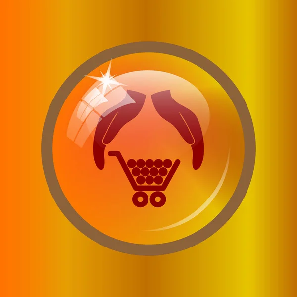 Consumer protection, protecting hands icon. Internet button on colored background.