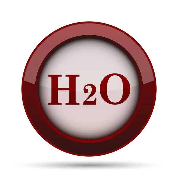 H2O Icon Internet Button White Background — Stock Photo, Image