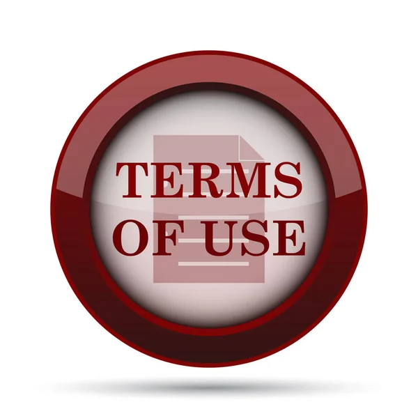 Terms of use icon. Internet button on white background.