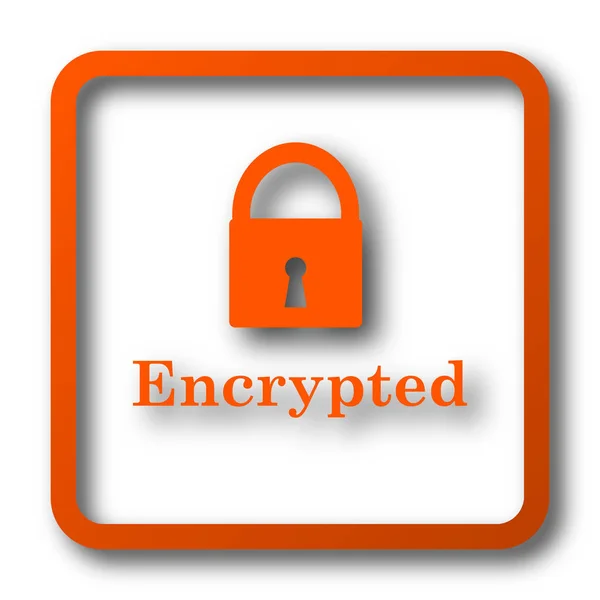 Encrypted Icon Internet Button White Background — Stock Photo, Image