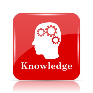 Knowledge icon