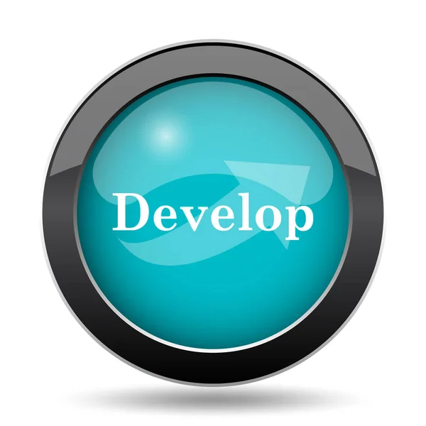 Develop icon