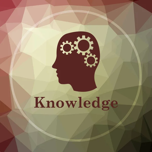 Knowledge icon — Stockfoto