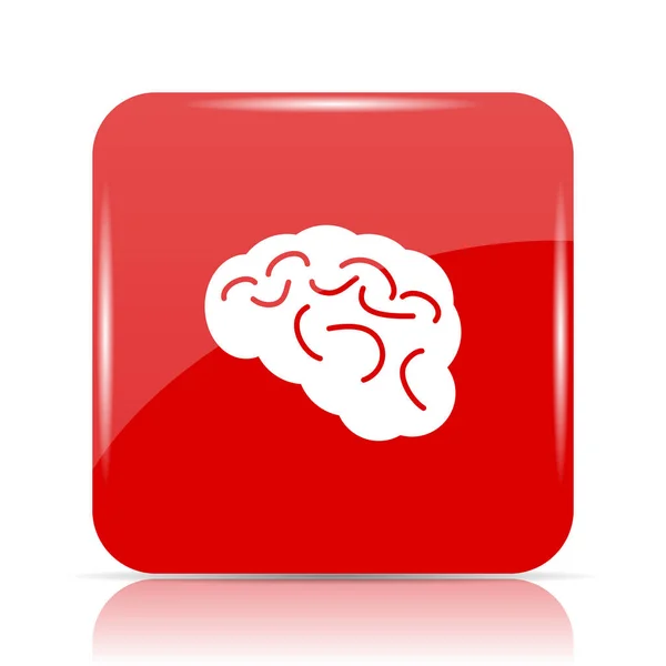 Icono del cerebro — Foto de Stock
