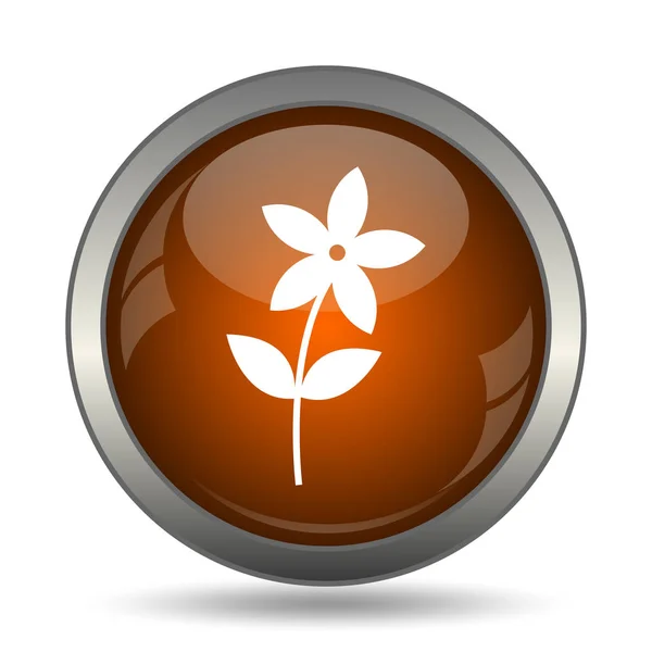 Flower  icon  icon. Internet button on white background.