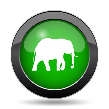 Beyaz arka plan üzerinde fil kutsal kişilerin resmi, yeşil Web sitesi düğme