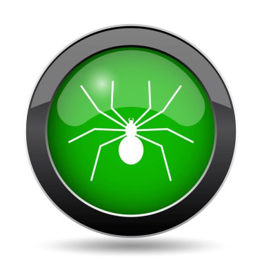 Örümcek yeşil kutsal kişilerin resmi web sitesi düğme beyaz arka plan üzerinde