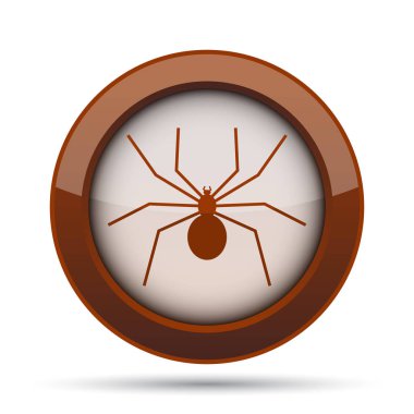 Örümcek simgesi. Beyaz arka plan üzerinde Internet düğmesi.