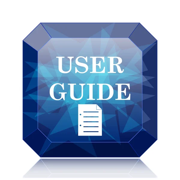 User guide icon, blue website button on white background