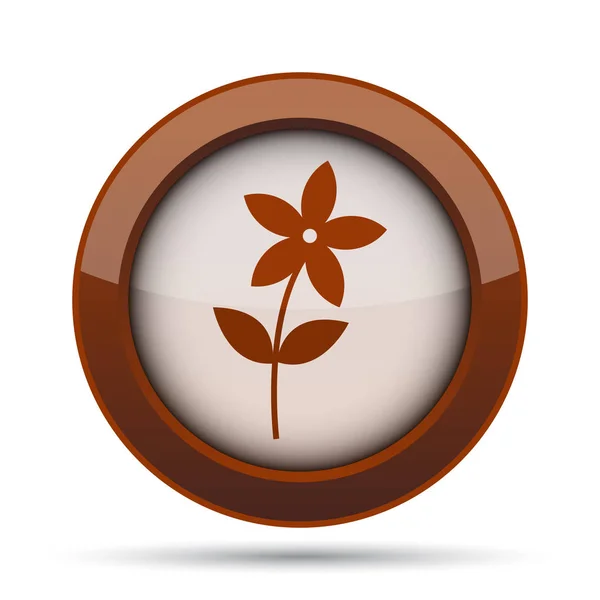 Flower Icon Icon Internet Button White Background — Stock Photo, Image