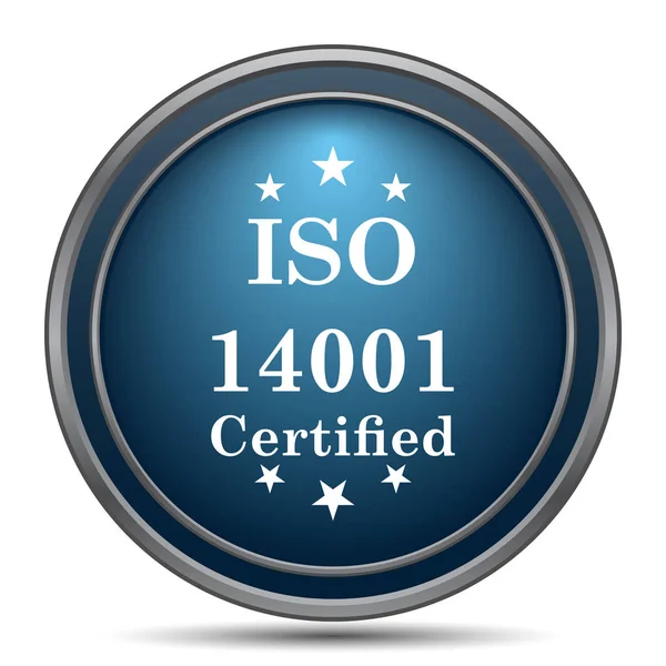 Iso14001 图标 — 图库照片