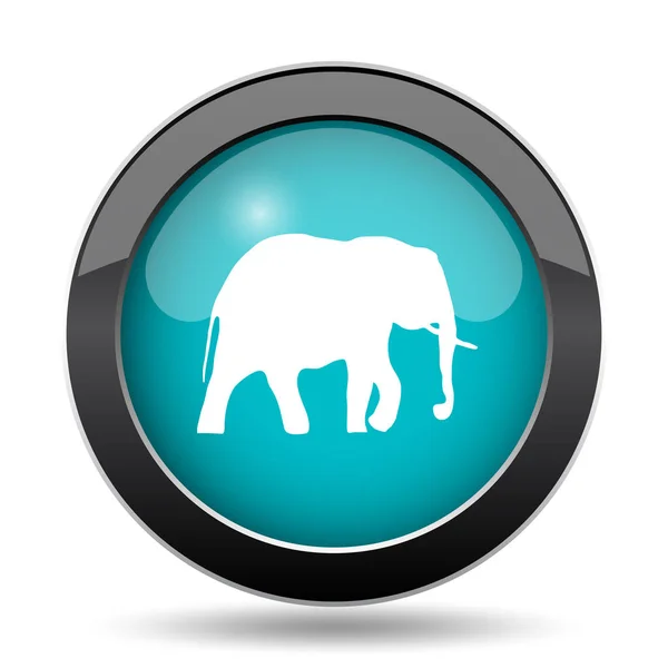 大象图标 大象网站按钮白色背景 — 图库照片