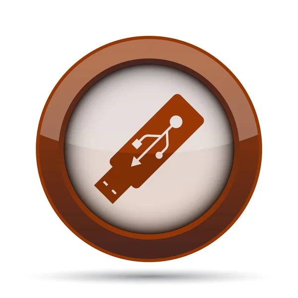 Usb flash drive icon