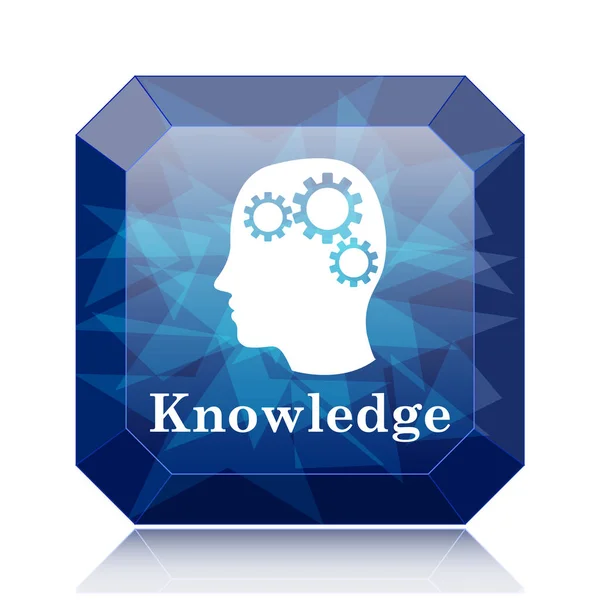 Knowledge icon — Stockfoto