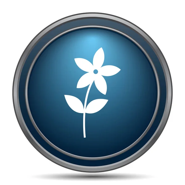 Flower Icon Icon Internet Button White Background — Stock Photo, Image