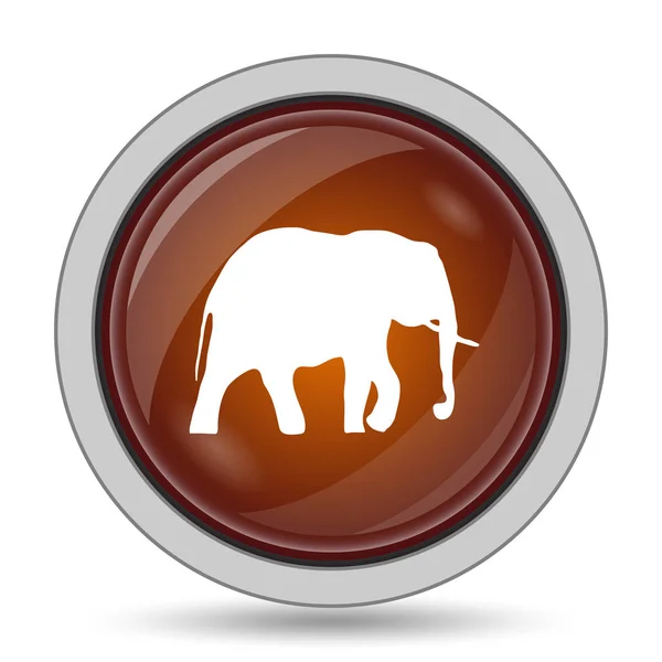 Icona Elefante Pulsante Arancione Sito Web Sfondo Bianco — Foto Stock