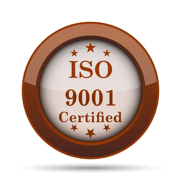 Ikona Iso9001 Internet Tlačítko Bílém Pozadí — Stock fotografie