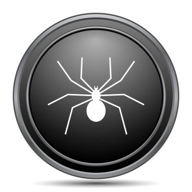 Örümcek siyah kutsal kişilerin resmi web sitesi düğme beyaz arka plan üzerinde