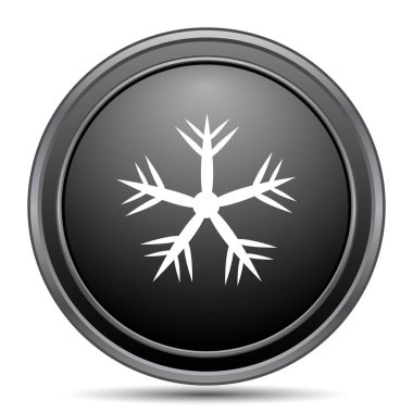 Kar tanesi siyah kutsal kişilerin resmi web sitesi düğme beyaz arka plan üzerinde