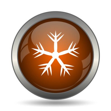 Kar tanesi simgesi. Beyaz arka plan üzerinde Internet düğmesi.