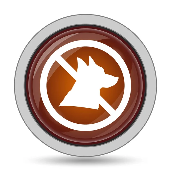 禁止狗图标 橙色网站按钮白色背景 — 图库照片
