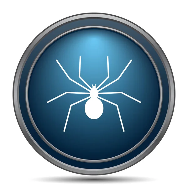 Pavouk Ikona Internet Tlačítko Bílém Pozadí — Stock fotografie