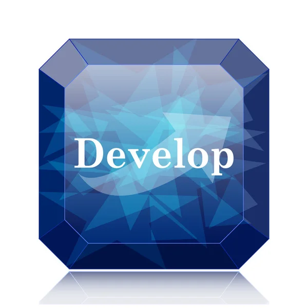 Develop Icon Blue Website Button White Background — Stock Photo, Image