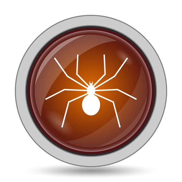 Spider Icon Orange Website Button White Background — Stock Photo, Image