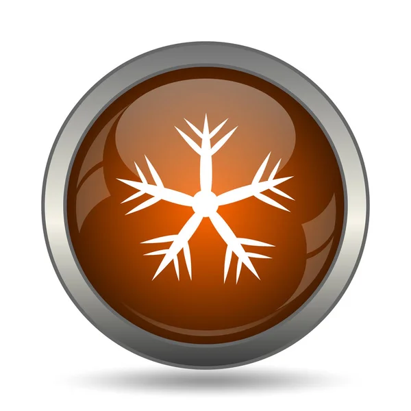 Икона Снежинки Кнопка Интернет Белом Фоне — стоковое фото