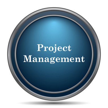 Proje Yönetimi simgesi