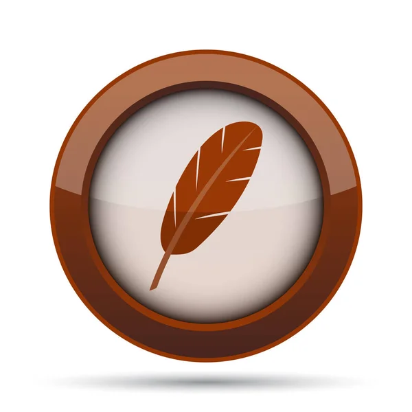 Feather icon. Internet button on white background.